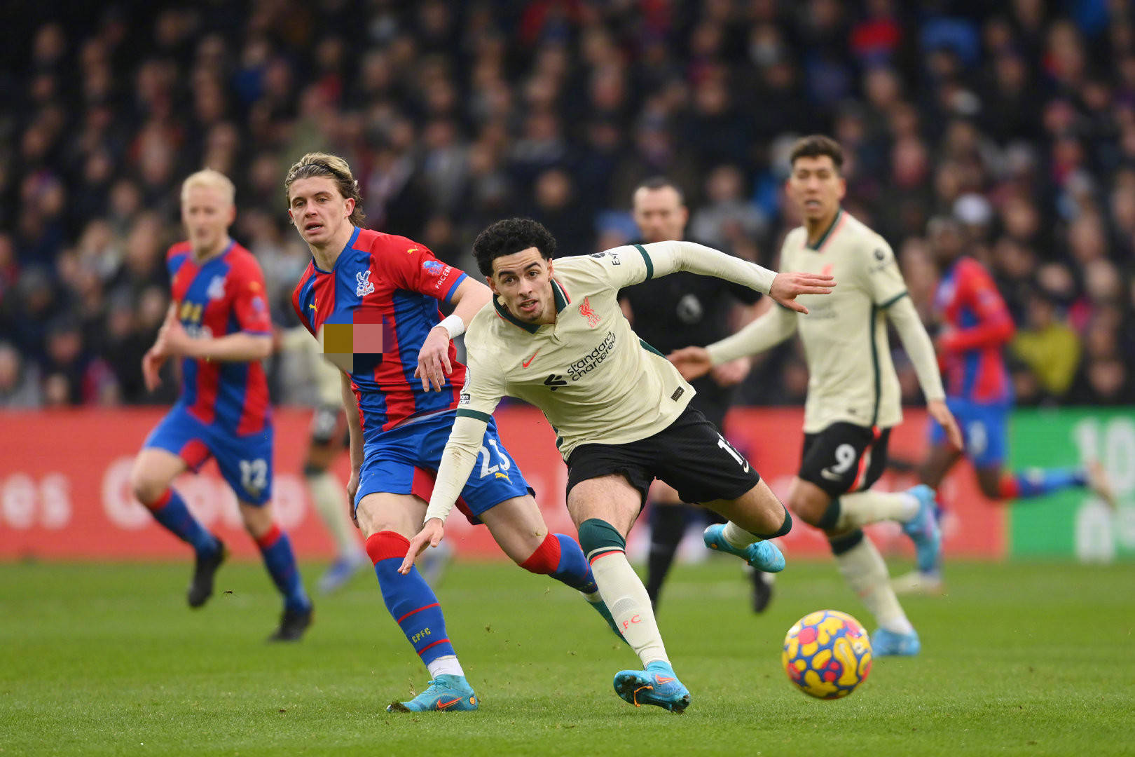 和支持来提 和支持来提